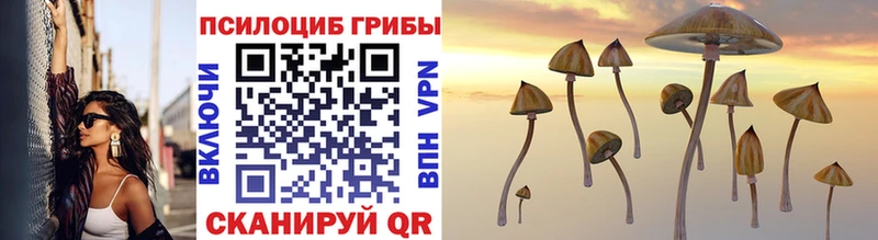 Псилоцибиновые грибы Cubensis  Дмитриев 