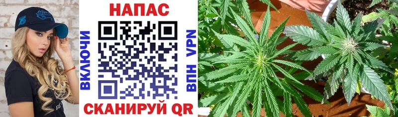 Марихуана VHQ  блэк спрут tor  Дмитриев 